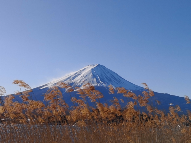 富士山--曹丹_副本.jpg